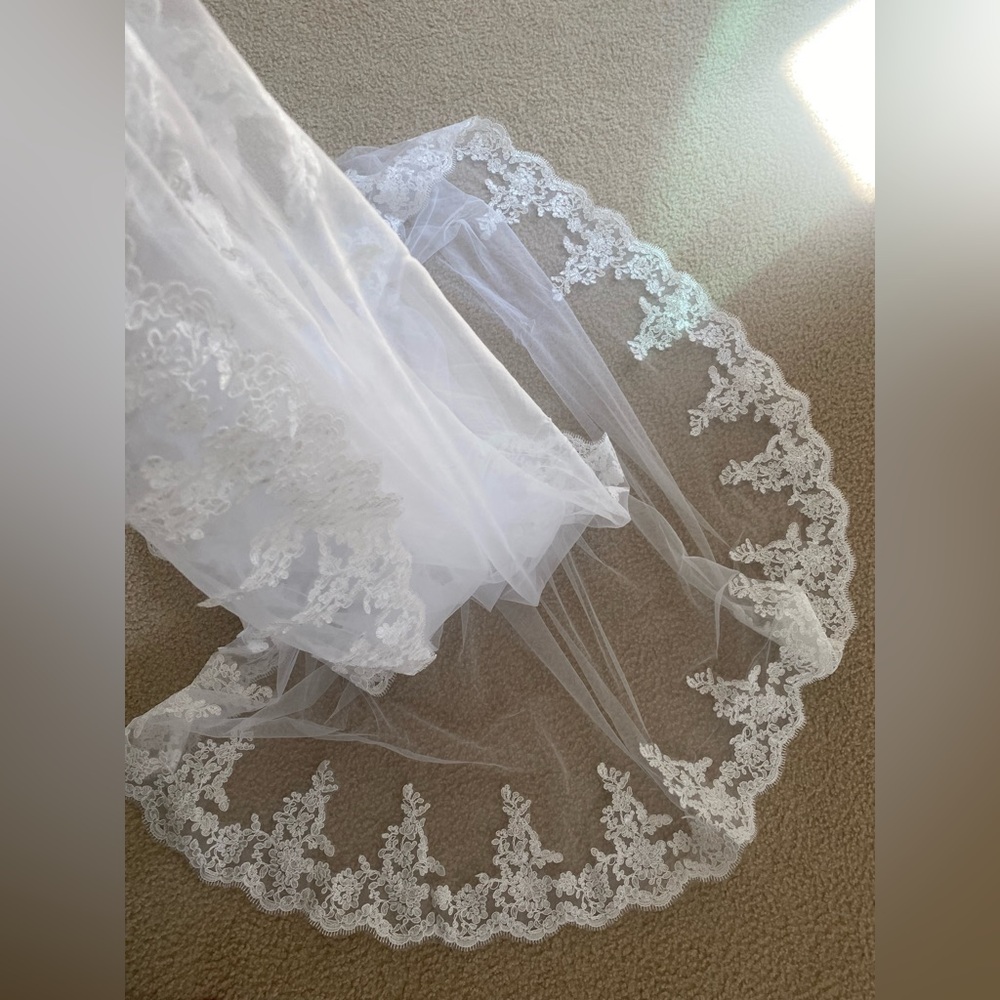 Veil - Picture 4 of 5